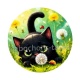chat noir 