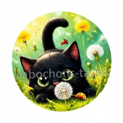 chat noir 