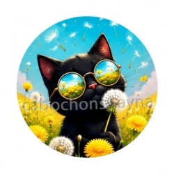 chat noir 
