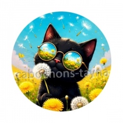 chat noir 
