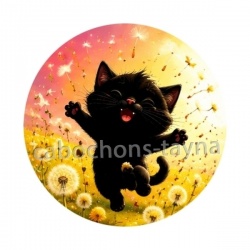 chat noir 