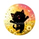 chat noir 