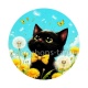 chat noir 