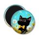 Magnet's - chat noir 