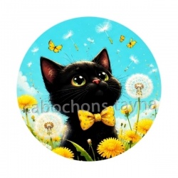 chat noir 