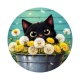 chat noir 