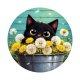 chat noir 