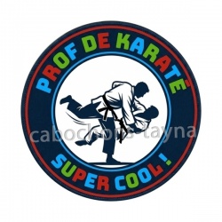 prof de karaté super cool