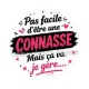pas facile d'être une connasse mais ça va je gère