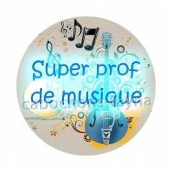 super prof de musique