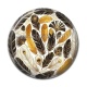 Cabochon Résine - plume