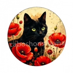 chat fleur coquelicot