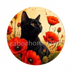 chat fleur coquelicot