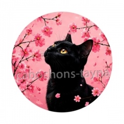 chat noir fleur cerisier