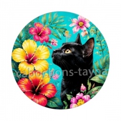 chat noir fleur exotique