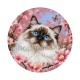 chat fleur