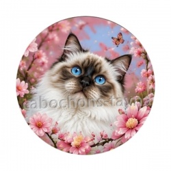 chat fleur