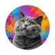 chat gris