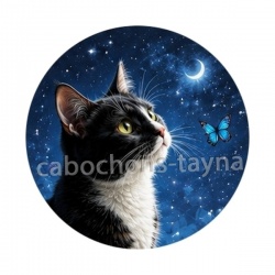 chat