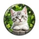 Cabochon Résine - chaton