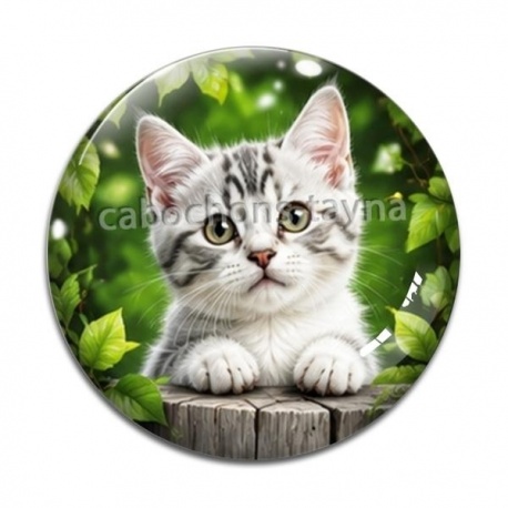 Cabochon Verre - chaton