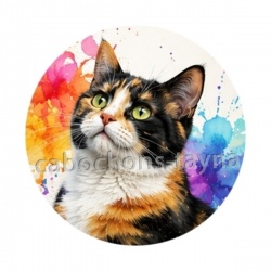 chat