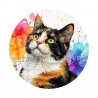 chat