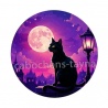 chat noir lune