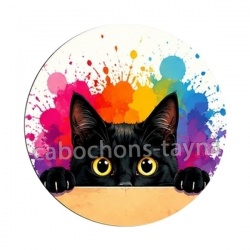 chat noir