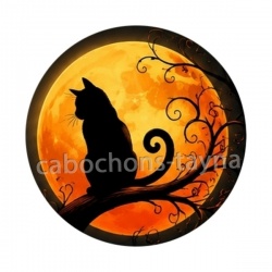 chat noir
