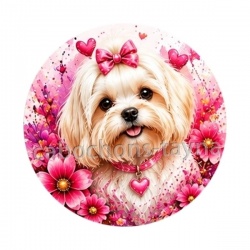 chien