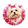 chien