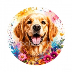 chien