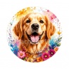 chien