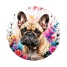 chien