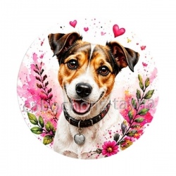 chien