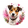 chien