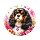 chien