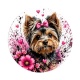chien