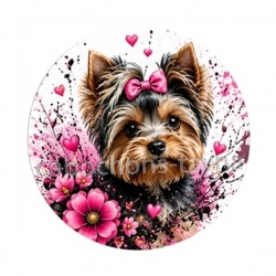chien