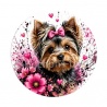 chien