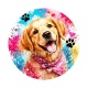 chien