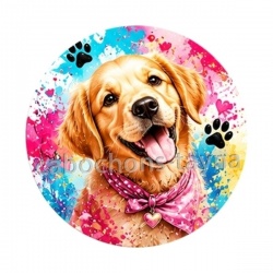 chien