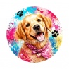 chien