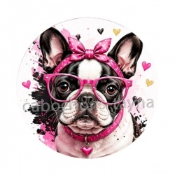 chien
