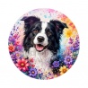 chien