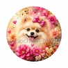chien