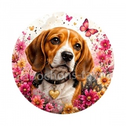 chien