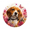 chien