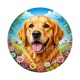 chien